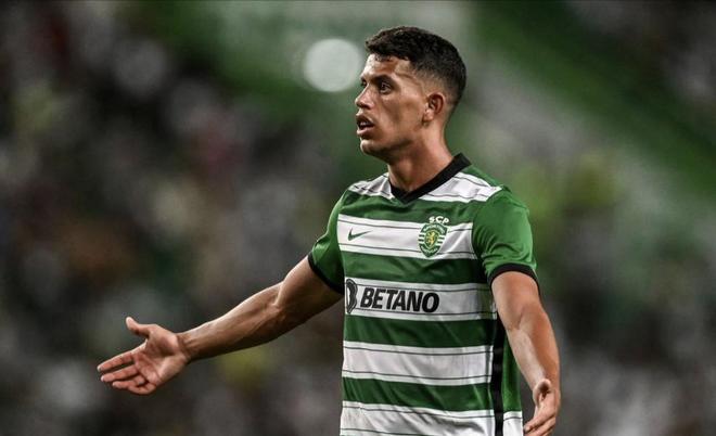 道路上迈出 道路上迈出