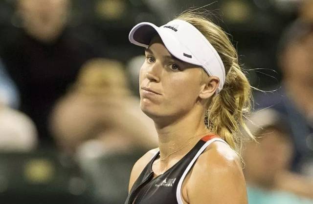 合智力与策 合智力与策