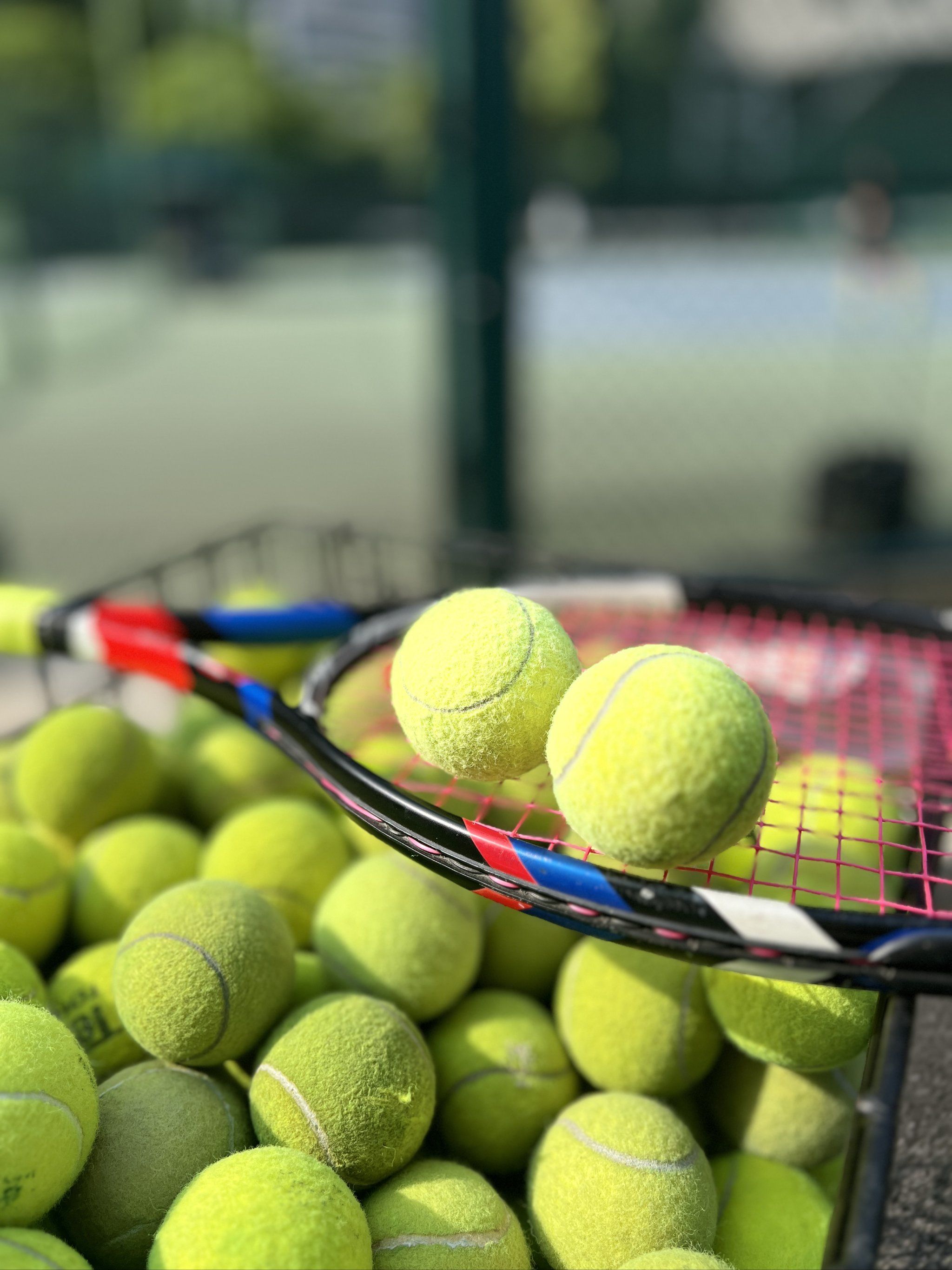 以保证文章 以保证文章