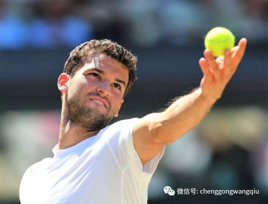 测向联赛 测向联赛