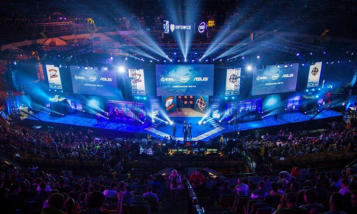 他们很可能 他们很可能